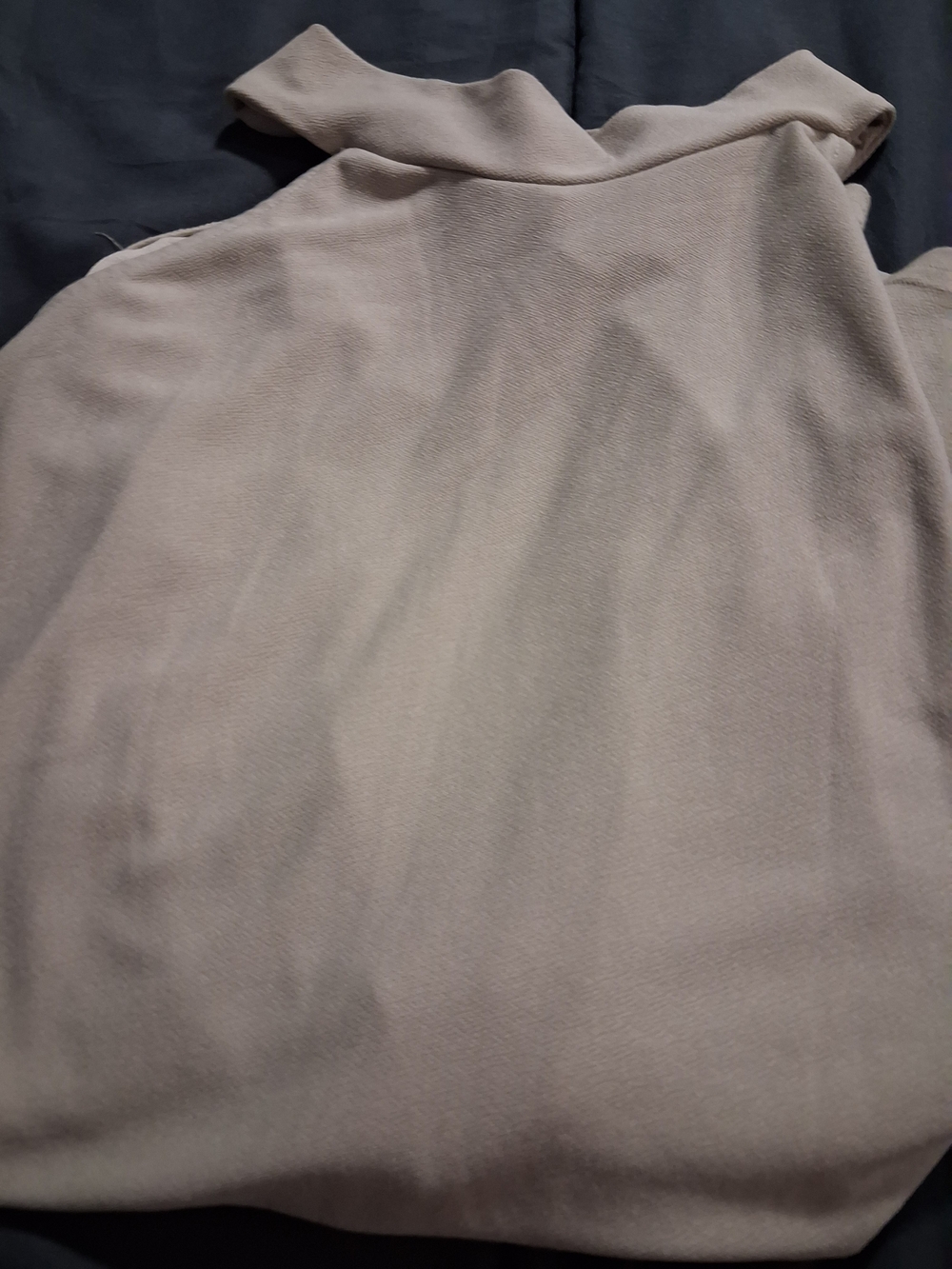 LadiesLong-Sleeve Casual Shirt in Light Taupe